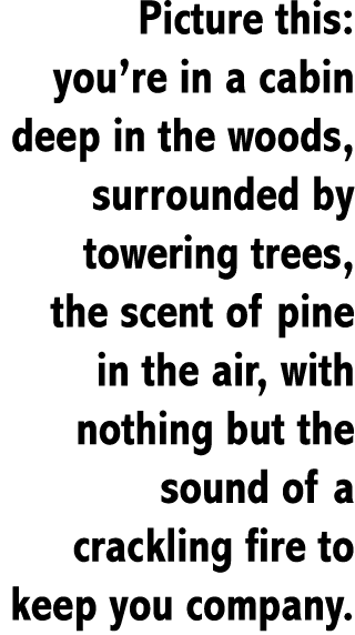 Picture this: you’re in a cabin deep in the woods, surrounded by towering trees, the scent of pine in the air, with n...