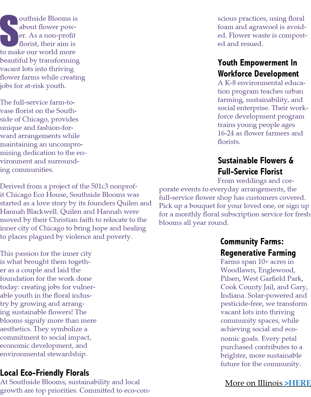 Southside Blooms is about flower power. As a non profit florist, their aim is to make our world more beautiful by tra...