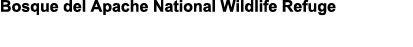 Bosque del Apache National Wildlife Refuge 