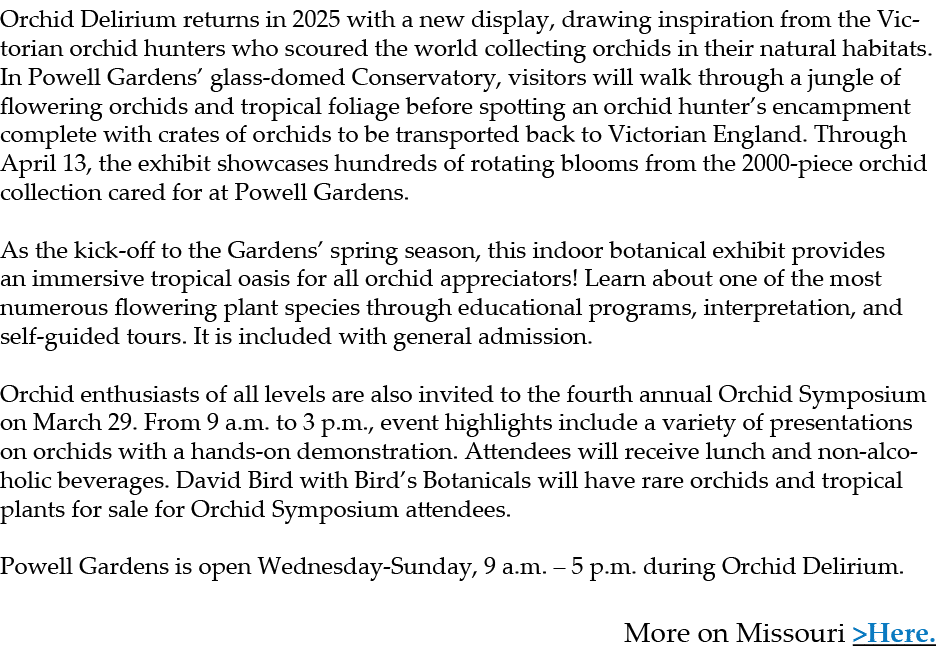 Orchid Delirium returns in 2025 with a new display, drawing inspiration from the Victorian orchid hunters who scoured...