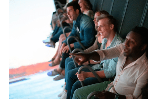 Photography by In Color Studios