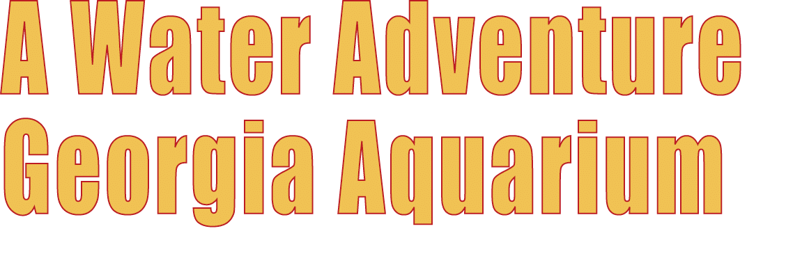 A Water Adventure Georgia Aquarium