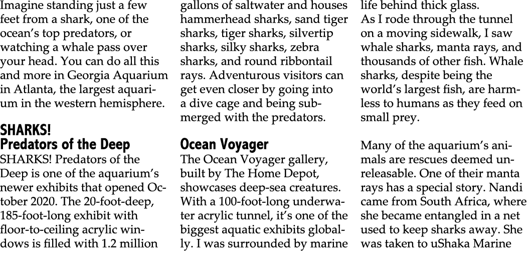 Imagine standing just a few feet from a shark, one of the ocean’s top predators, or watching a whale pass over your h...