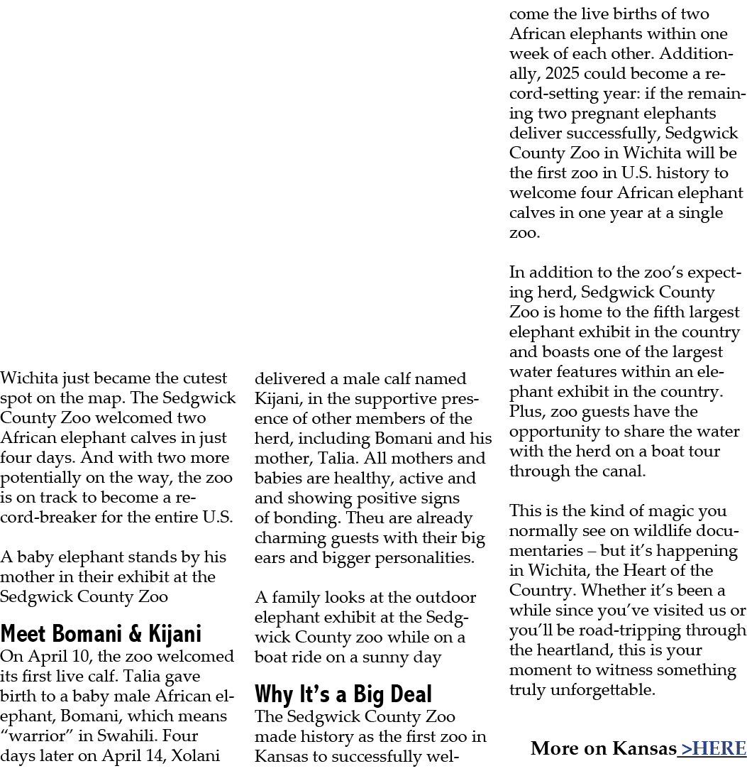 Wichita just became the cutest spot on the map. The Sedgwick County Zoo welcomed two African elephant calves in just ...